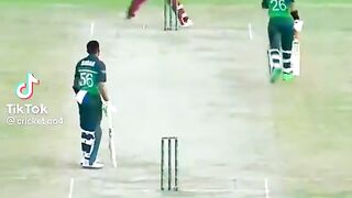 Cricket