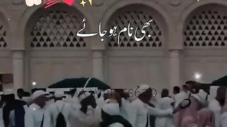 Naat status