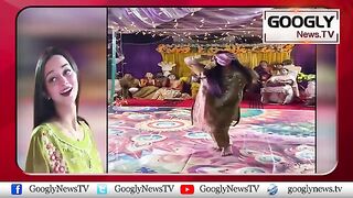 Maira dil yeh pukaray song