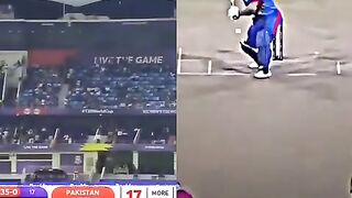 Cricket