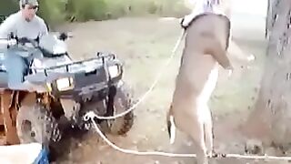 Funny