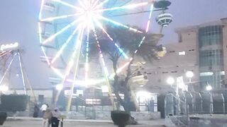 SkyWheel in Park..