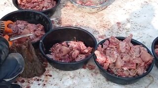 Четыре лапы Ташкент приют. Ребята готовят завтрак 22 января 2023 г