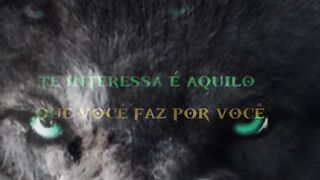 Motivaçaodiaria
