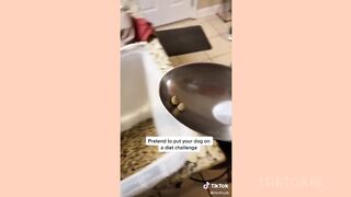 DRAMATIC AND FUNNY COMPILATION VIDEO