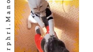 New Fantestic Latest Funny video 2023