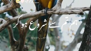 #Sad Poetry #animal lover