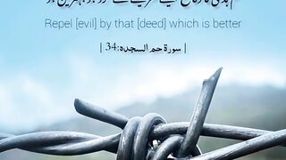 Surah sajdah Ayat 34 & 35 translation status