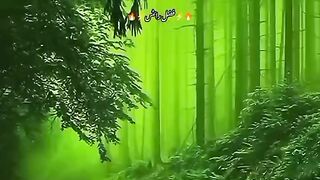 Allah se mohabbat karo