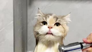 Bath Time ❤️