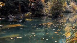 Beautiful nature photography with music ????