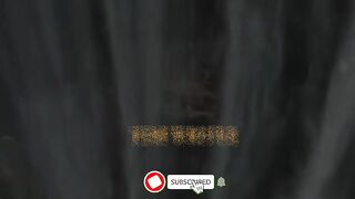 Sub sa acha imaan vala kon ha ????