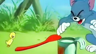 Funny Video Tom Jerry