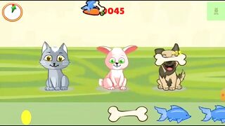 Who Will Win the Ultimate Food Challenge: Cat, Dog, or Rabbit