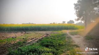 Beautiful View morning time