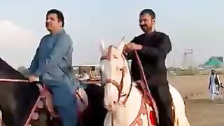 Horse running