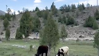 Beautiful Skardu Pakistan