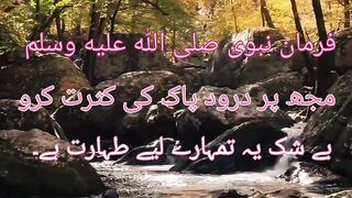 Hadees Pak
