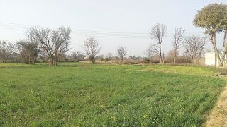 Village Life