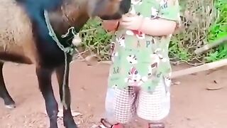 Cute Funny Video