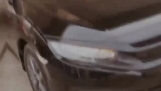 Cars Lover