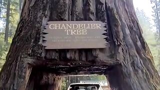 Most papular and baeutifull place