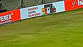 Best cricket shorts