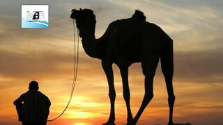 یا رسول الله‌‌‌‌‌????توبه کس طرح کرے؟؟؟peer ajmal raza qadri status