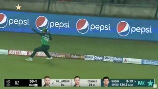 Kan willamson great batting against pakistan