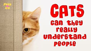 Funny Cats can Talk 2023 | Can Cats Really Understand People | Pets and Us