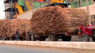 Hamza Sugar Mill