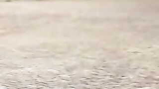 Funny video #shorts