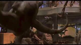 The_Top_T._rex_Moments_in_4K_HDR_|_Jurassic_World(360p).