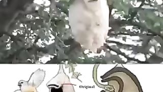 Allah ki qudrat