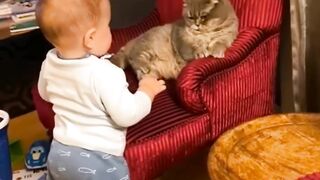 Baby And Cat Funny Moment || Baby Funny Video |