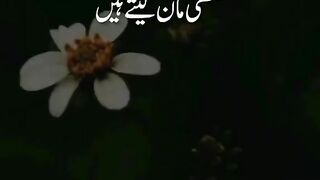 Poetry