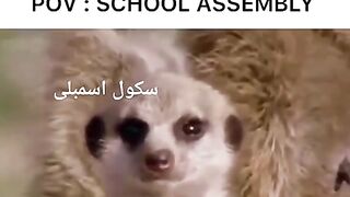 School assembly funny scene