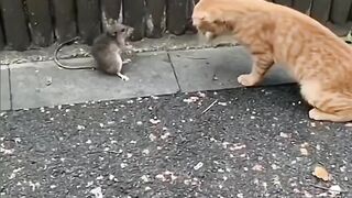 Very funny
