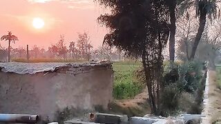 My Village Eving time