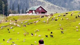 Beauty of world