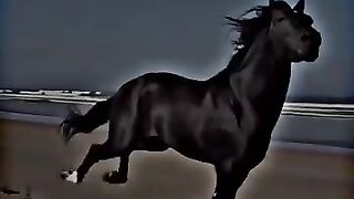 Kabi kabi bndy ko bhass ni krni chahiyer