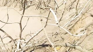 Fish catching in a lake