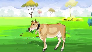 Animal Husbandry Practices