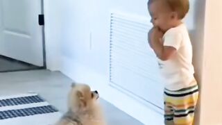 Kid enjoying with pet