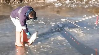 New Primitve Technology Fish Trap