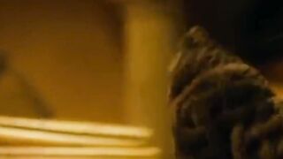 Hollywood Best Funny Moment Movie ????