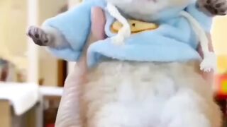 Animal lovers