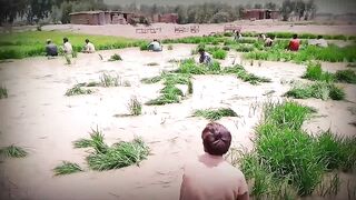 Village mahole