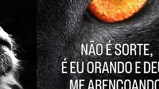 Motivaçaodiaria