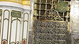 A BEAUTIFUL SCENE OF SABZ JAALI ROZA E RASOOL